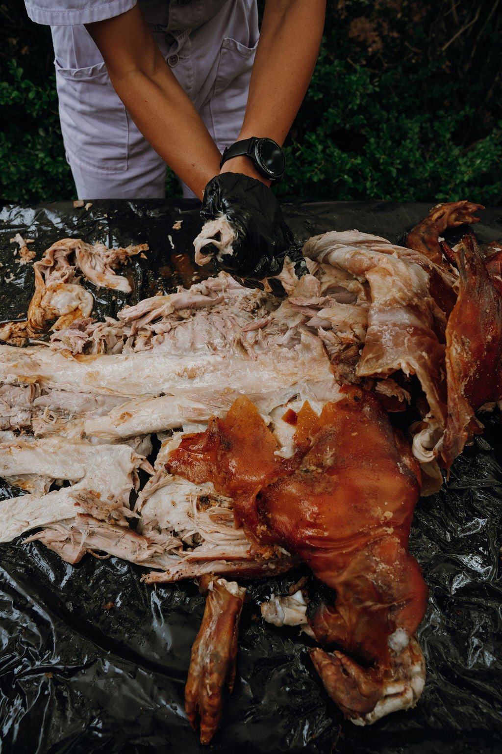 Pulling a whole hog experience.